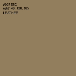 #927E5C - Leather Color Image