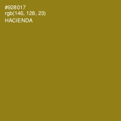 #928017 - Hacienda Color Image