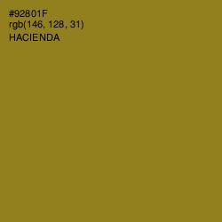 #92801F - Hacienda Color Image