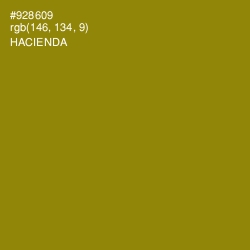 #928609 - Hacienda Color Image