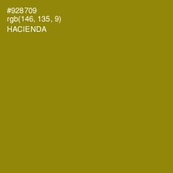 #928709 - Hacienda Color Image