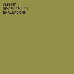 #929147 - Barley Corn Color Image