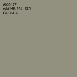 #92917F - Gurkha Color Image