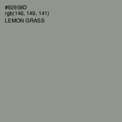 #92958D - Lemon Grass Color Image