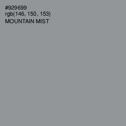#929699 - Mountain Mist Color Image