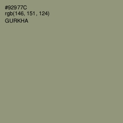 #92977C - Gurkha Color Image