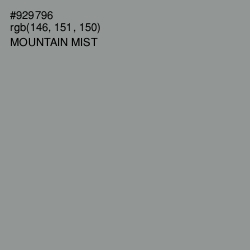 #929796 - Mountain Mist Color Image