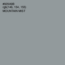 #929A9B - Mountain Mist Color Image