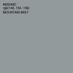 #929A9C - Mountain Mist Color Image