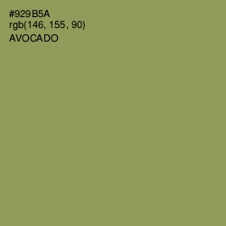 #929B5A - Avocado Color Image