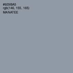 #929BA5 - Manatee Color Image