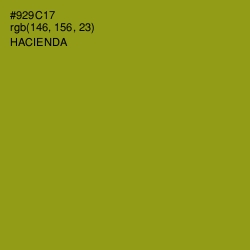 #929C17 - Hacienda Color Image