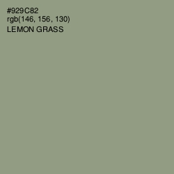 #929C82 - Lemon Grass Color Image