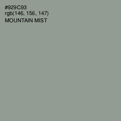 #929C93 - Mountain Mist Color Image