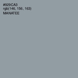 #929CA3 - Manatee Color Image