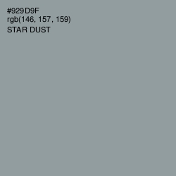 #929D9F - Star Dust Color Image