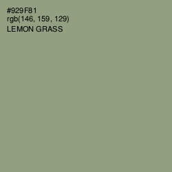 #929F81 - Lemon Grass Color Image