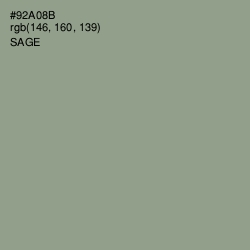#92A08B - Sage Color Image