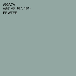 #92A7A1 - Pewter Color Image