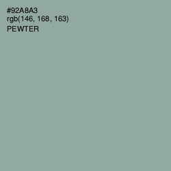 #92A8A3 - Pewter Color Image