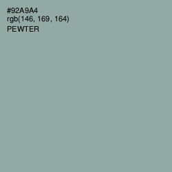 #92A9A4 - Pewter Color Image