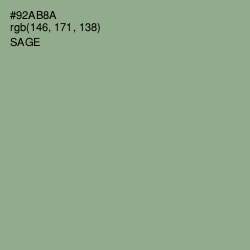 #92AB8A - Sage Color Image