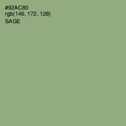 #92AC80 - Sage Color Image