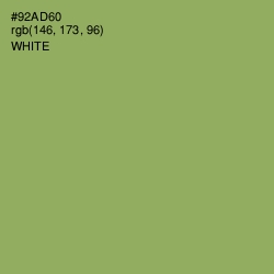 #92AD60 - Olivine Color Image