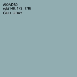 #92ADB2 - Gull Gray Color Image