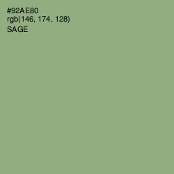 #92AE80 - Sage Color Image