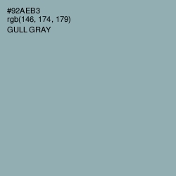 #92AEB3 - Gull Gray Color Image