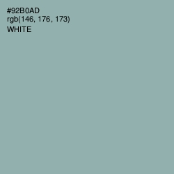 #92B0AD - Summer Green Color Image