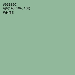 #92B89C - Envy Color Image