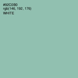 #92C0B0 - Shadow Green Color Image