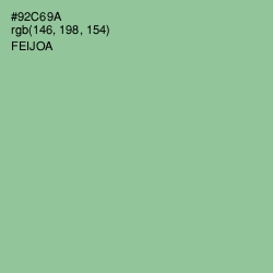 #92C69A - Feijoa Color Image