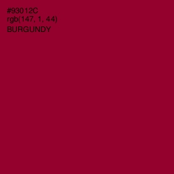 #93012C - Burgundy Color Image