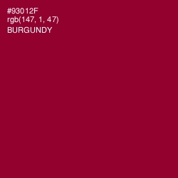 #93012F - Burgundy Color Image