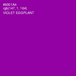 #9301A4 - Violet Eggplant Color Image