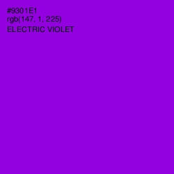 #9301E1 - Electric Violet Color Image