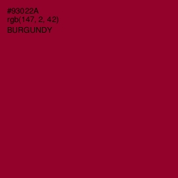 #93022A - Burgundy Color Image