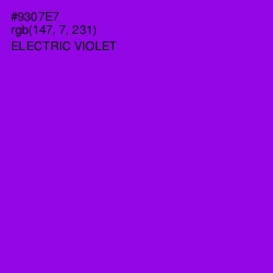 #9307E7 - Electric Violet Color Image