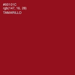 #93101C - Tamarillo Color Image