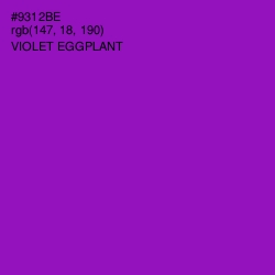 #9312BE - Violet Eggplant Color Image