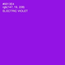 #9313E4 - Electric Violet Color Image