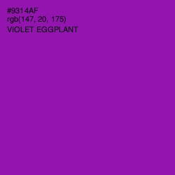 #9314AF - Violet Eggplant Color Image