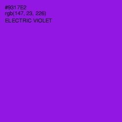 #9317E2 - Electric Violet Color Image