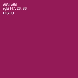 #931A56 - Disco Color Image