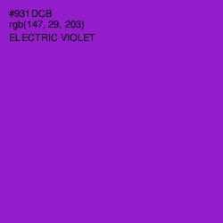 #931DCB - Electric Violet Color Image