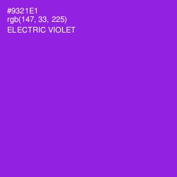 #9321E1 - Electric Violet Color Image