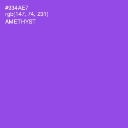 #934AE7 - Amethyst Color Image